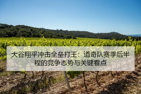 大谷翔平冲击全垒打王：道奇队赛季后半程的竞争态势与关键看点