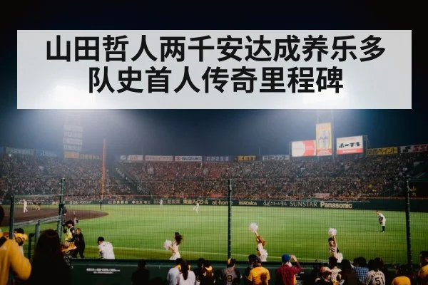 baseball stadium night lights